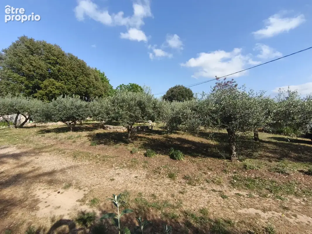 Flassans-sur-issole   terrain plein sud • 575 m2 • au calme - photo 2