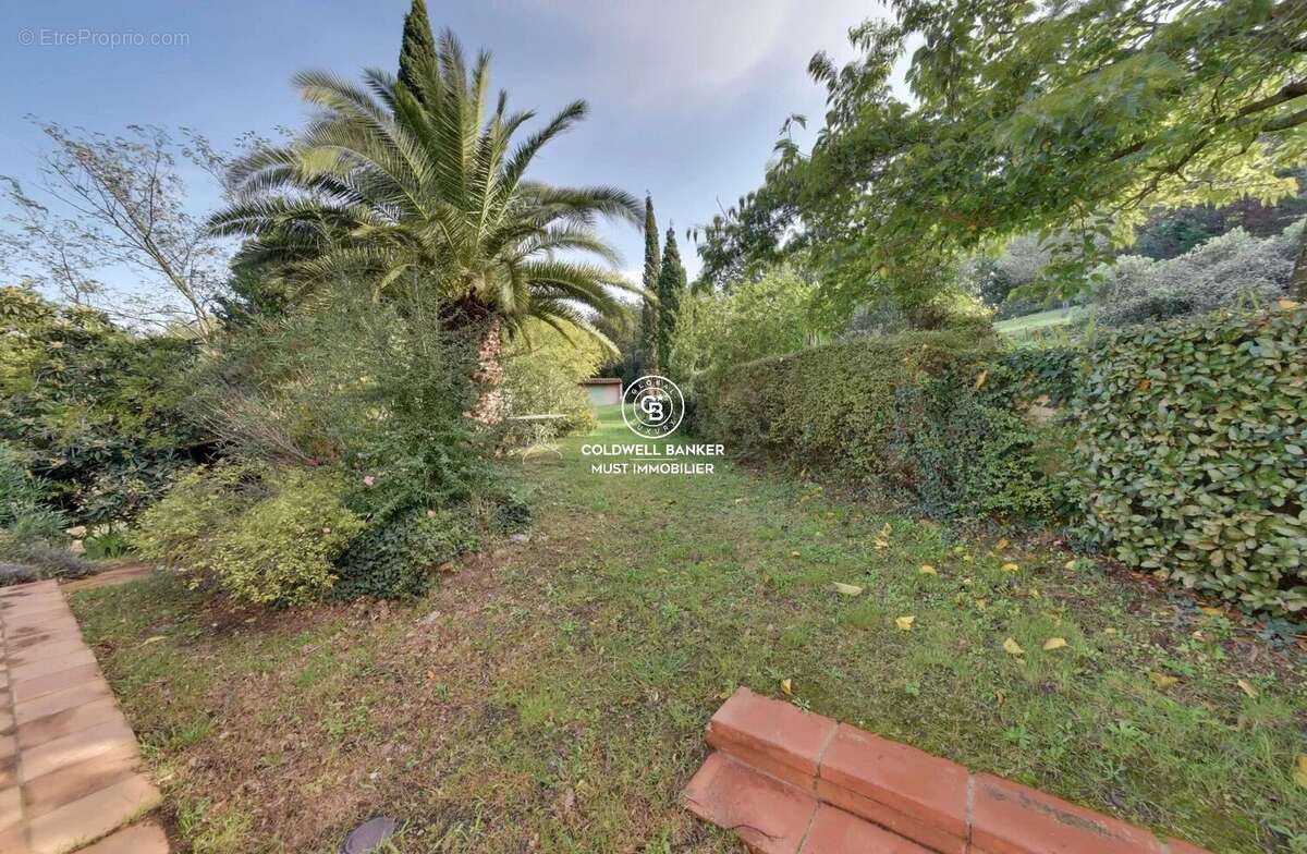 MAS de 295m2 Céret  vue Canigou sur près de 4 Ha - photo 17