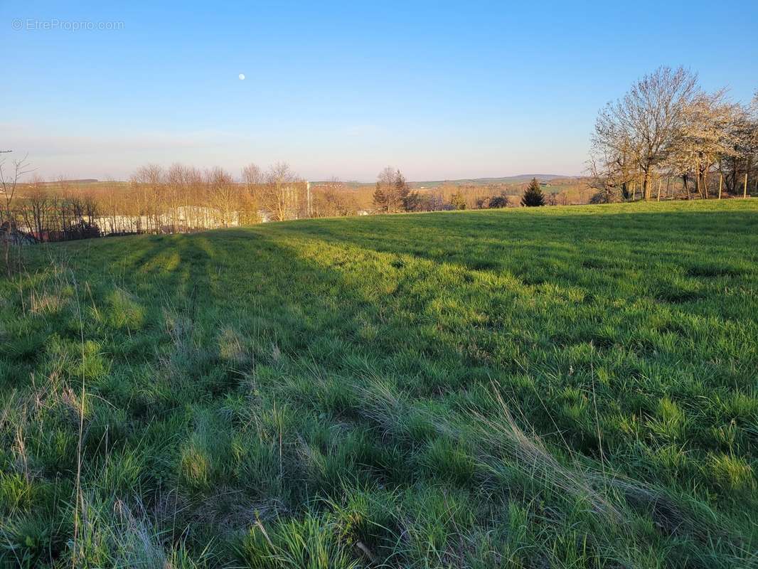 Terrain de 52 ares constructible - MARMOUTIER - photo 2