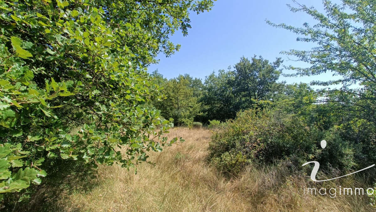 Terrain agricole avec un puits - photo 10