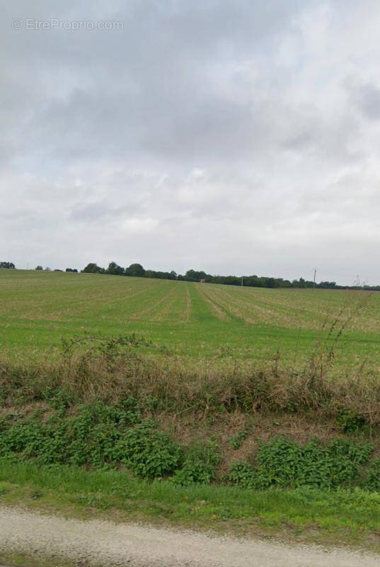 Terrain à SAINT-XANDRE