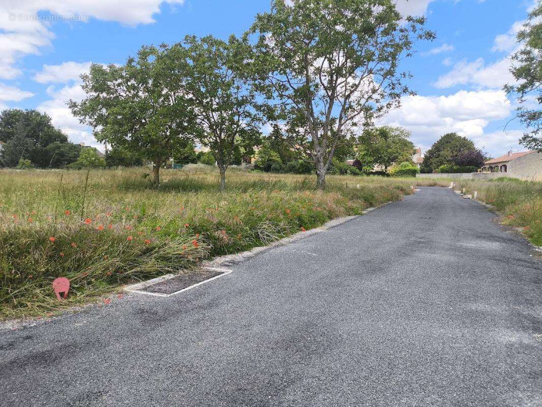 Terrain à MIGNE-AUXANCES