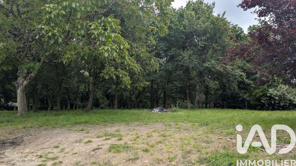 Maison 41 m² à Chemille-Sur-Deme  - photo 8