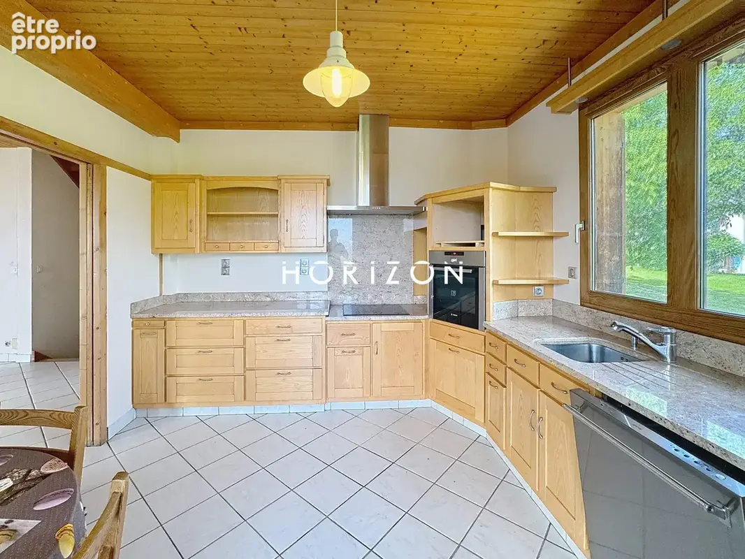 Maison 8 pièces 250 m² à vendre à Freterive (73250) - photo 6