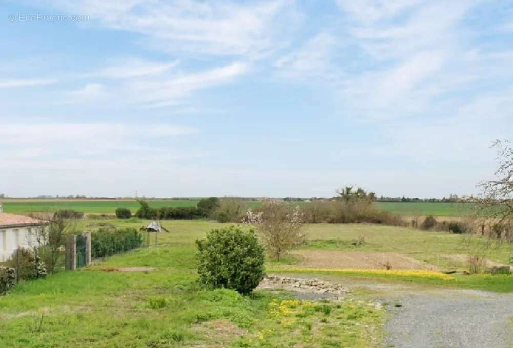 Terrain à JAUNAY-CLAN