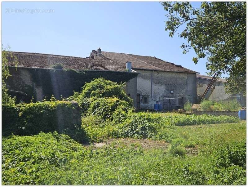 Ferme à vendre 3 pièces MAZELEY (88), de 112m², sur un terrain de 1600m² - photo 6