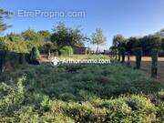 Maison à SAINT-MARS-D&#039;EGRENNE