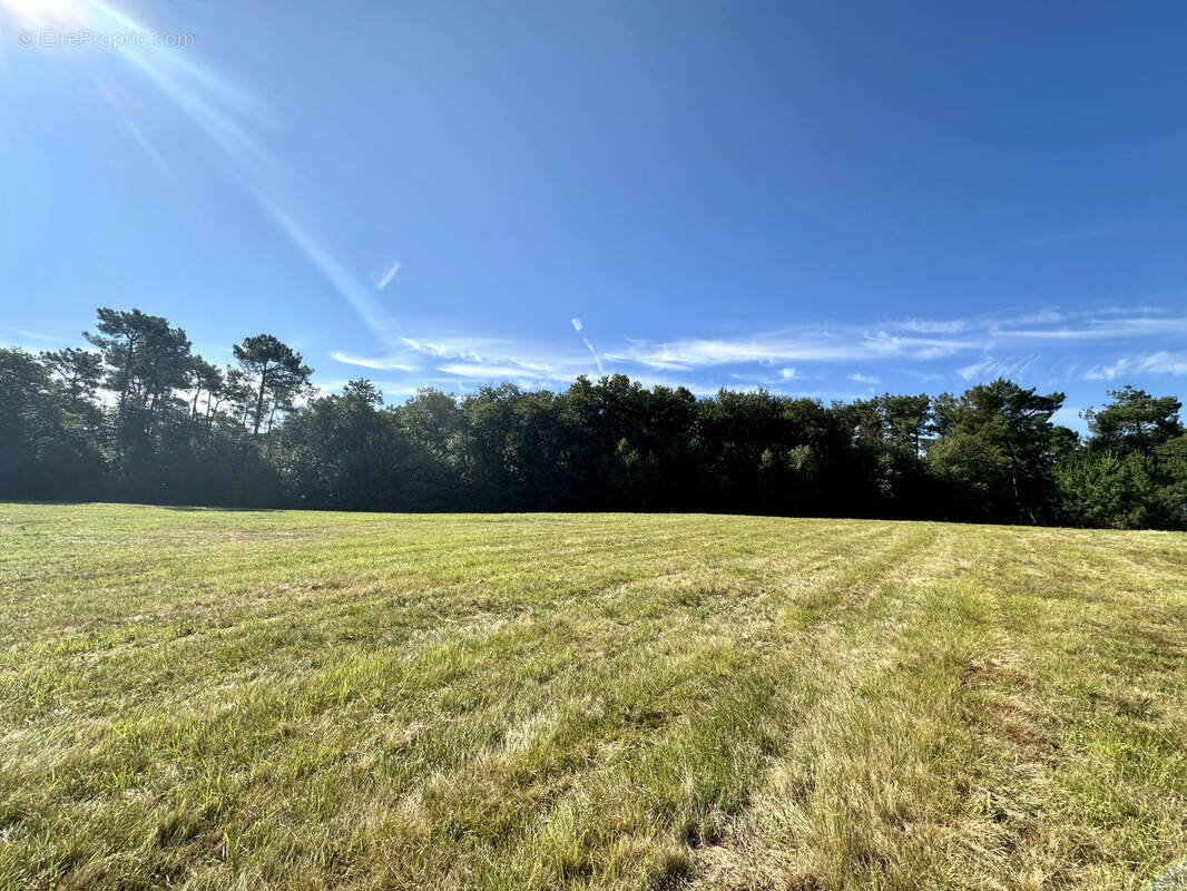 Terrain à MARCILLAC-SAINT-QUENTIN