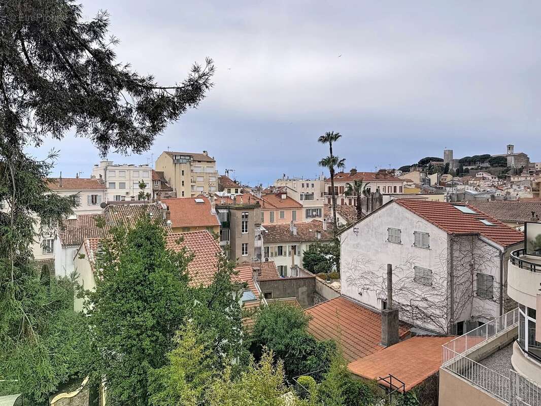 Cannes - centre - photo 9