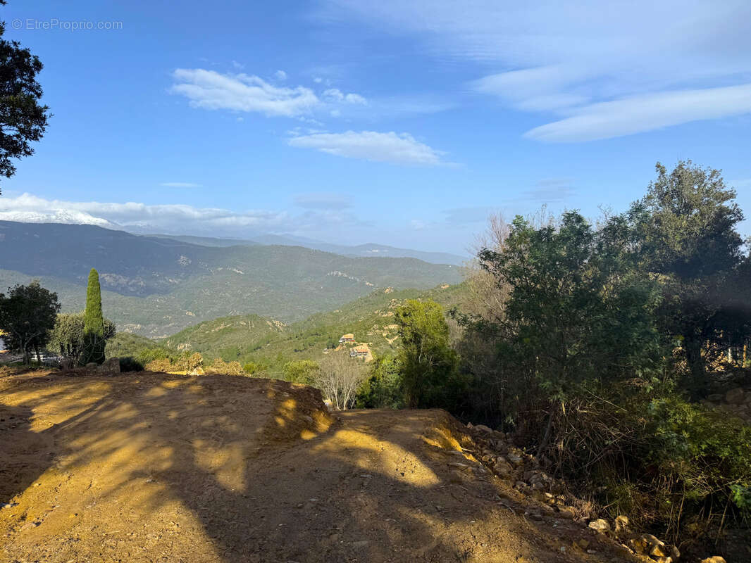 Terrain à SARI-SOLENZARA