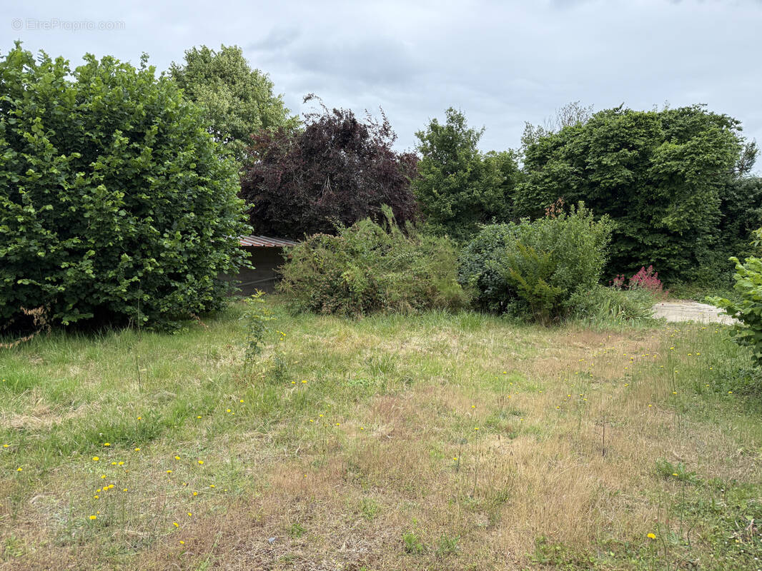 Terrain à ROCHES-PREMARIE-ANDILLE