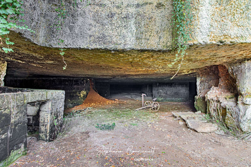 Maison à SAINT-LOUIS-EN-L&#039;ISLE