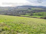 Terrain à BERZE-LA-VILLE