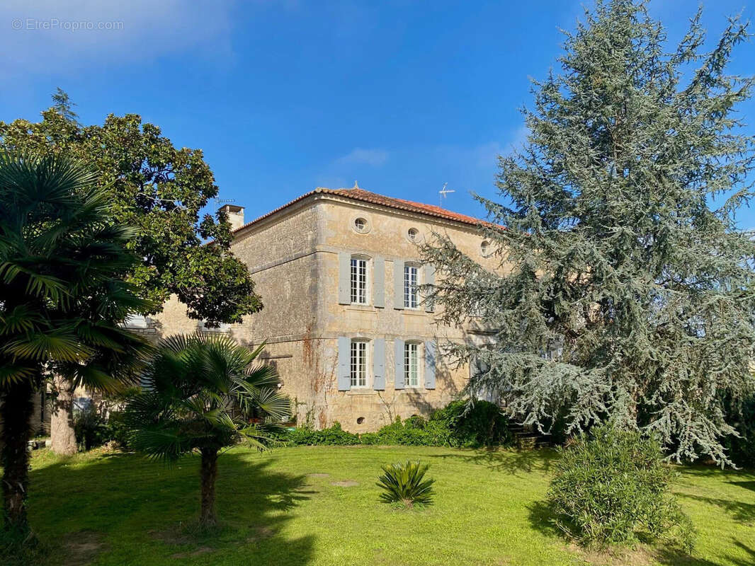 Maison 594 m² à Champagne  - photo 5