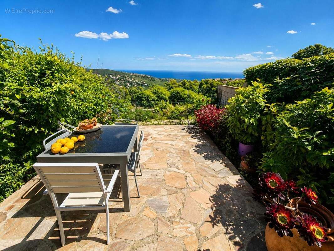Photo 2 - Maison à ROQUEBRUNE-SUR-ARGENS