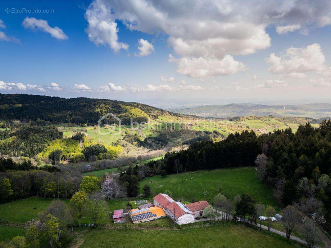 Domaine d'exception Colombier sous pilat - photo 3