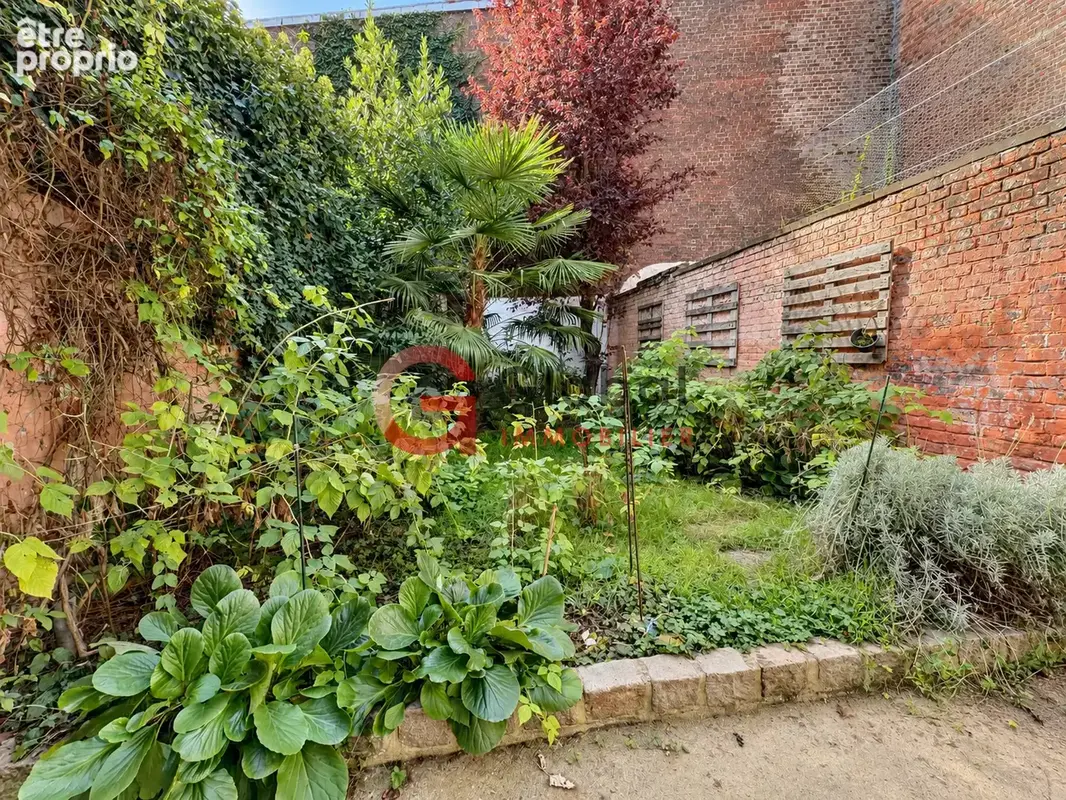 Maison bourgeoise lille   5 chambres   jardin - photo 15