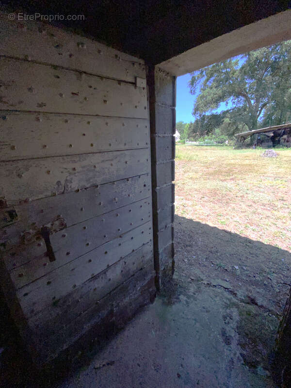 Ferme 10 hectares Monein - photo 17