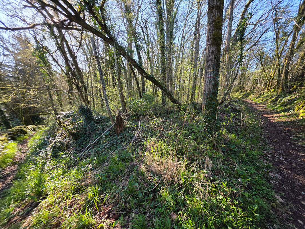 Terrain à ANGLES-SUR-L'ANGLIN