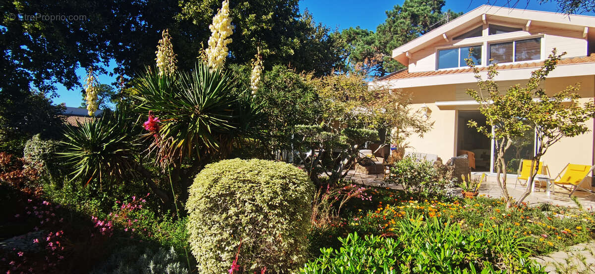 Maison à ARCACHON