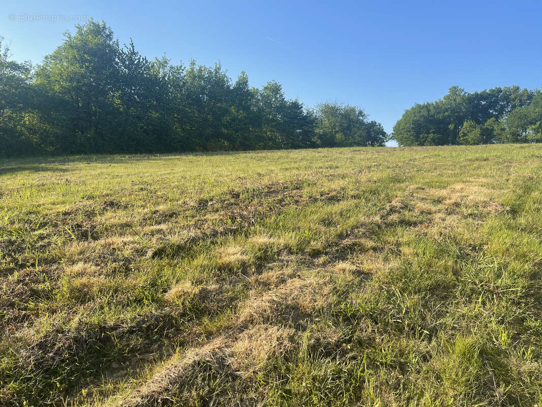 Terrain à ORTHEZ