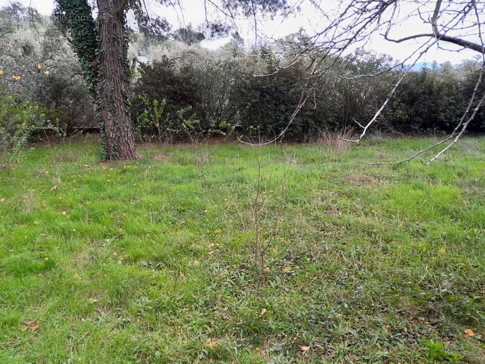 Terrain à LA GARDE-FREINET