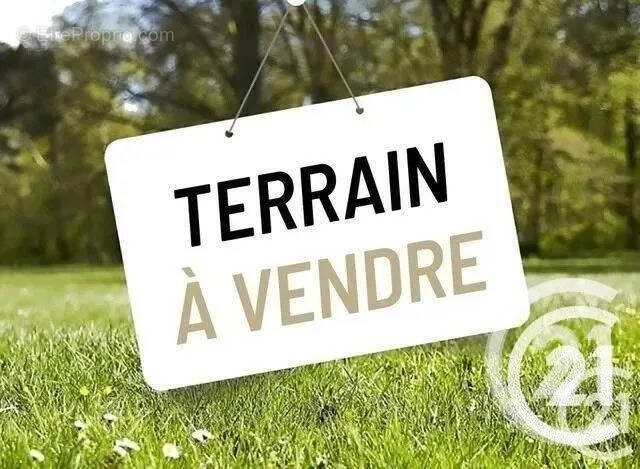 Terrain à VILLENEUVE-SUR-YONNE