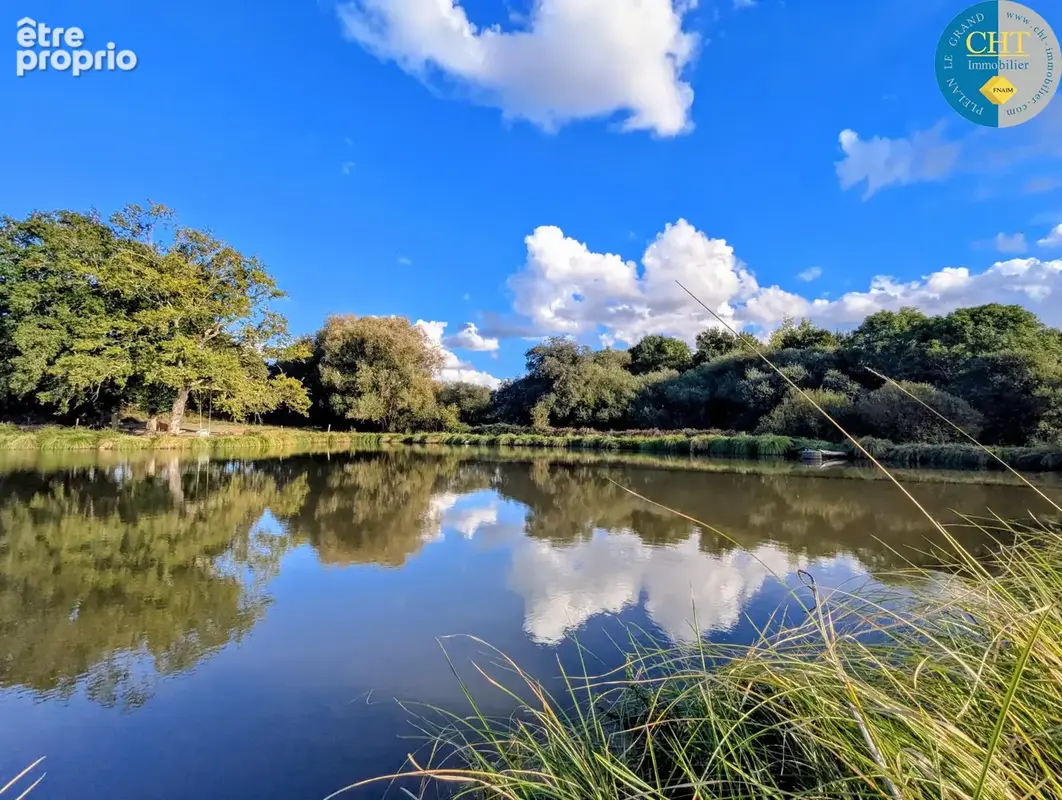 A vendre ÉTANG ET SOURCE sur parcelle d'1,50 hectare À MERNEL (35330) AVEC CHT IMMOBILIER - photo 2
