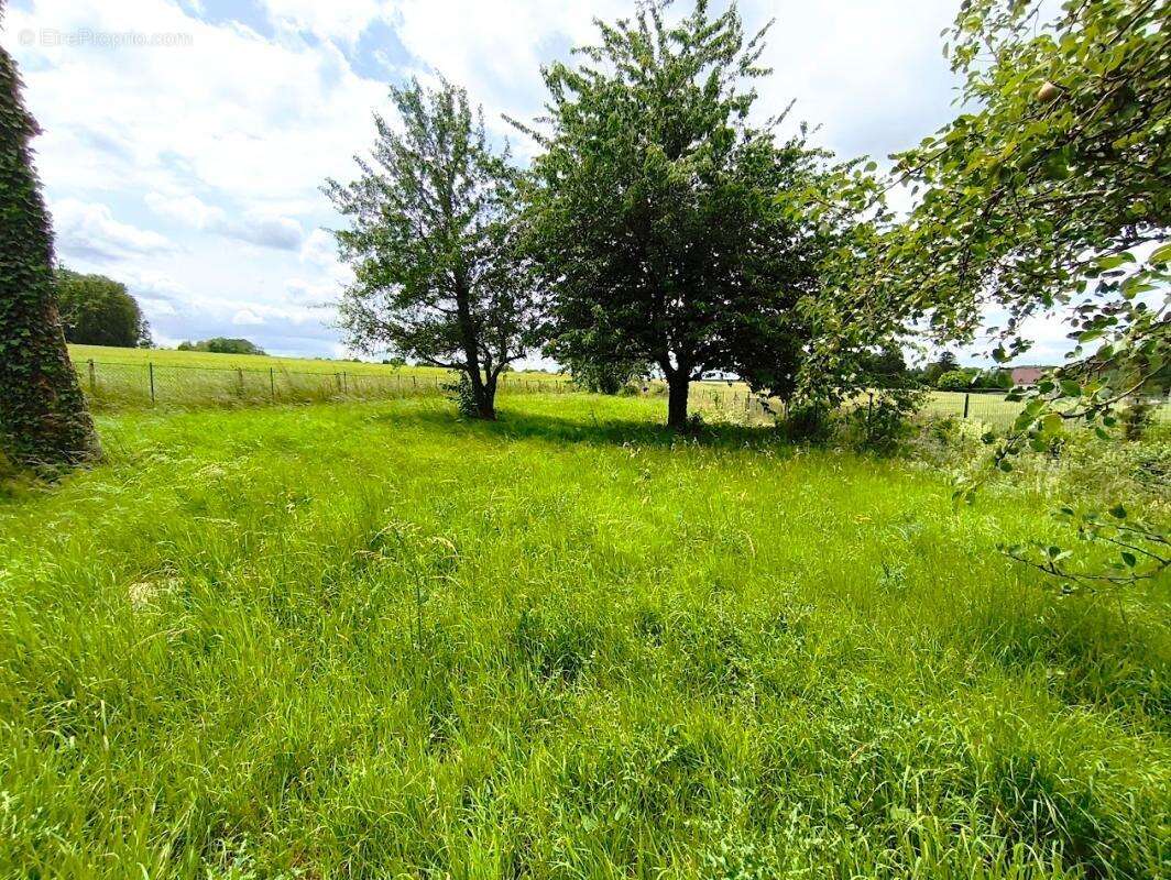 Maison de caractère avec jardin et fort potentiel d'aménagement - photo 16