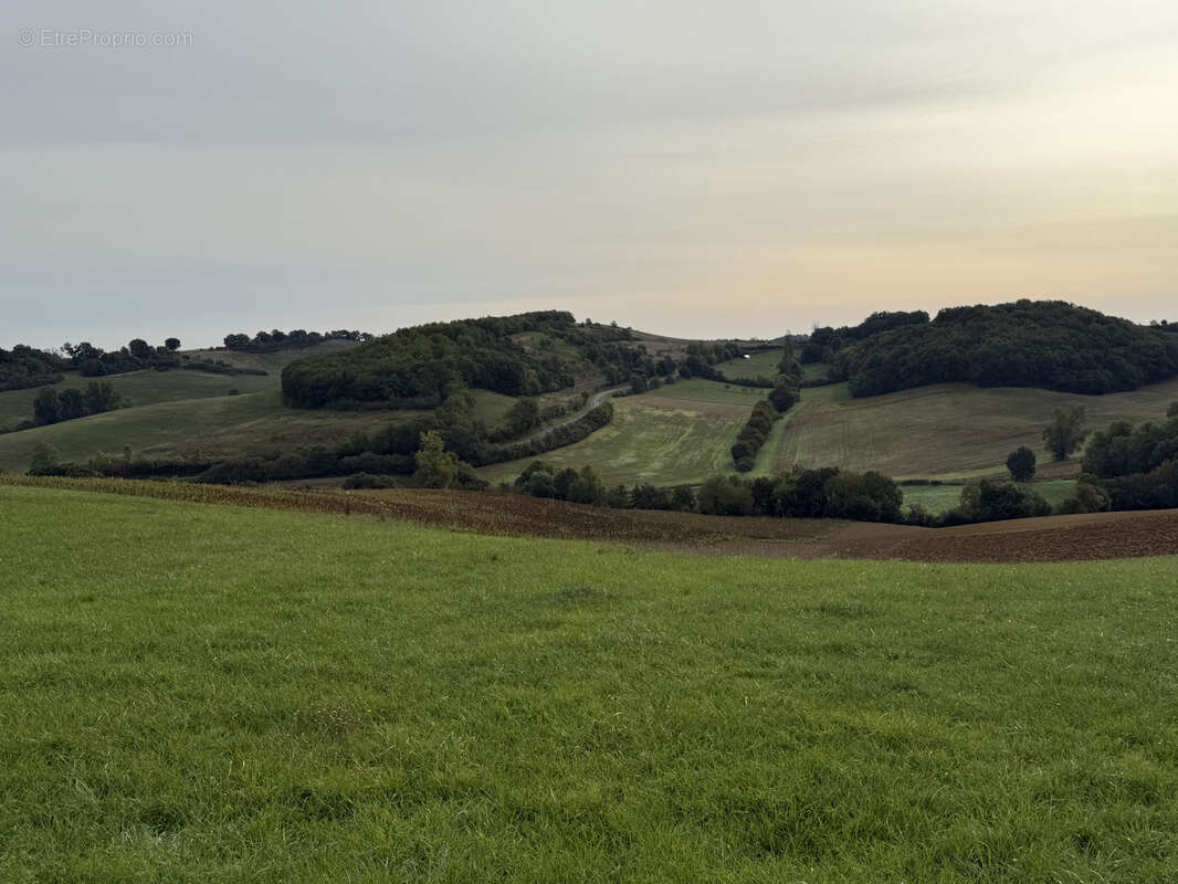 Terrain à LE FOUSSERET