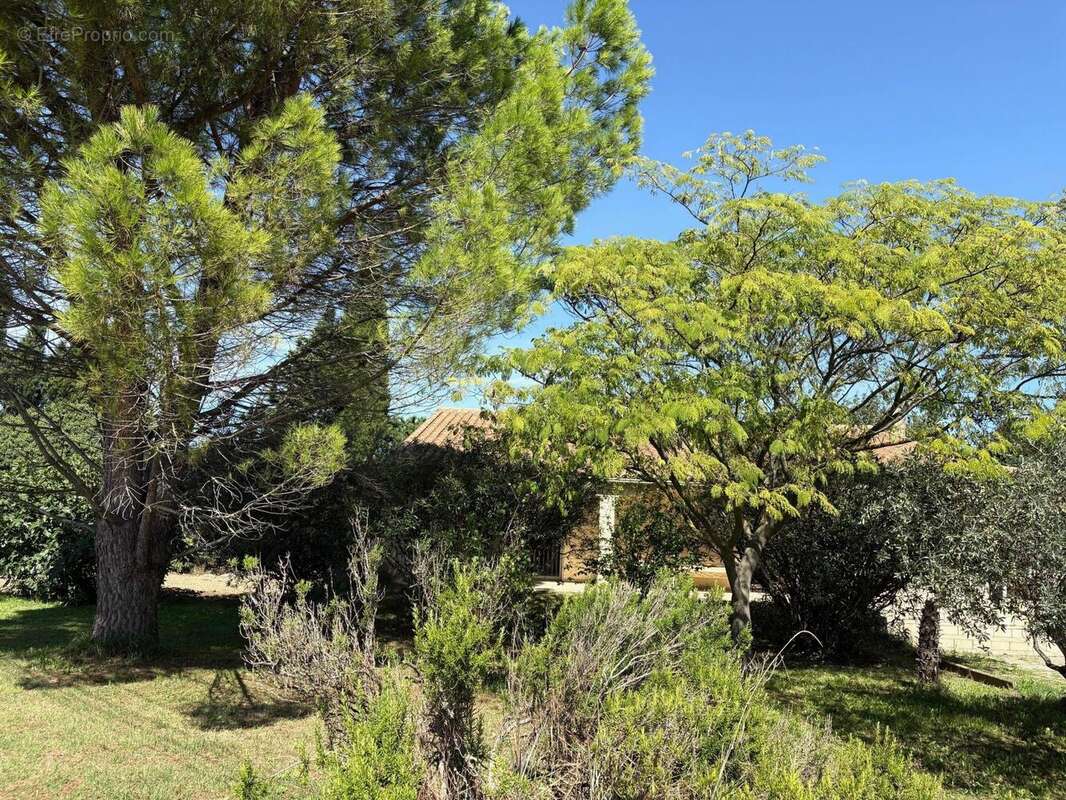 Photo 4 - Maison à LORIOL-DU-COMTAT