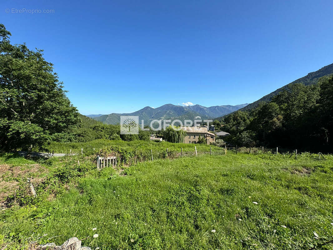 Terrain à SANTO-PIETRO-DI-VENACO