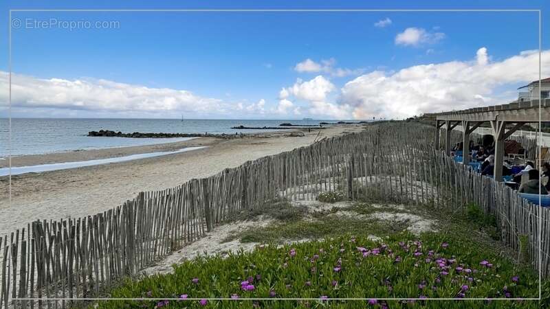 Dpt Hérault (34), à vendre FRONTIGNAN-PLAGE appartement T3 de 51 m²  - Plain pied- Front de mer - photo 2