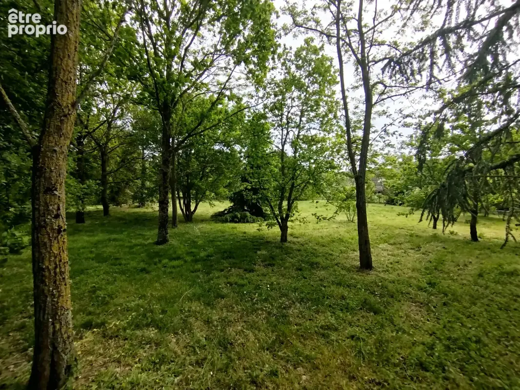 À vendre en exclusivité   Propriété spacieuse avec chambre d’hôte et gîte indépendants   Parçay-sur-Vienne (37 - photo 4