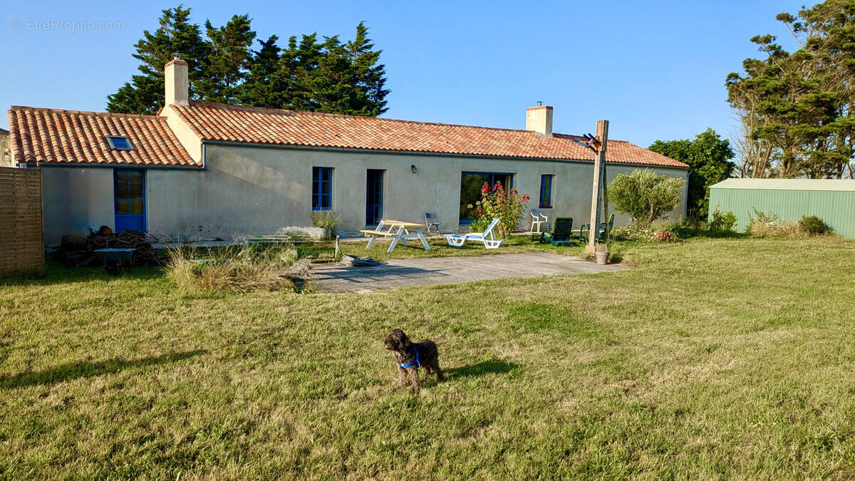 Maison à BOUIN