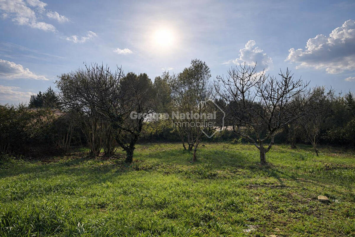 Terrain à SUSSARGUES