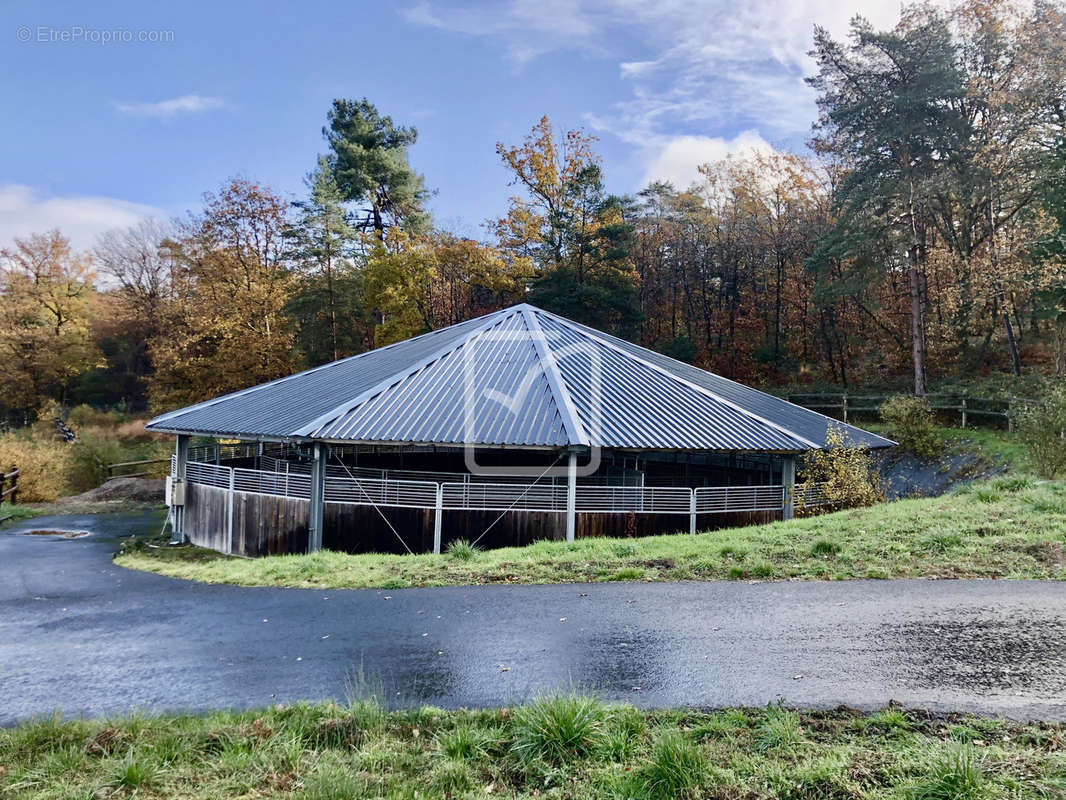 Maison à BRIVE-LA-GAILLARDE