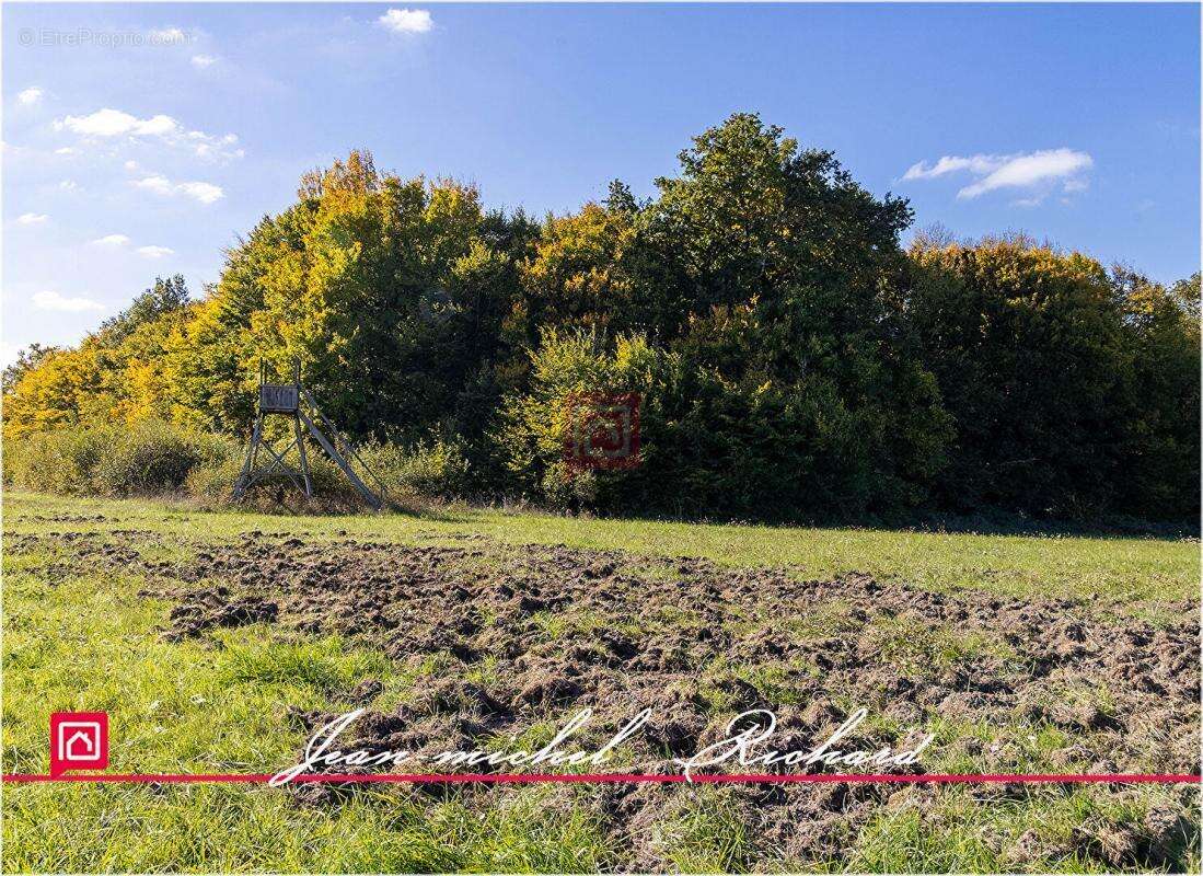 Propriété de chasse Sologne 42 hectares - photo 11