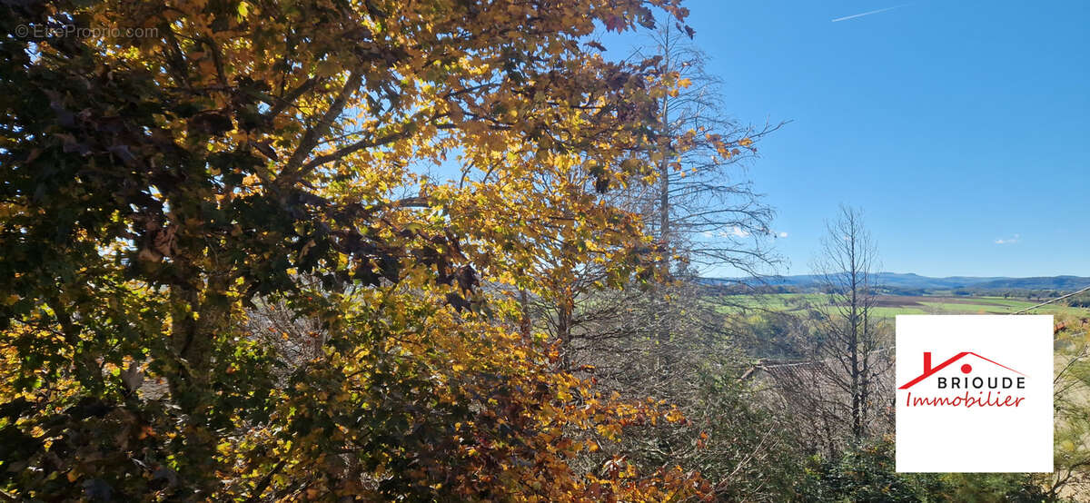 Maison à VERGONGHEON