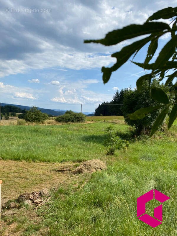 Maison à CHAMPAGNAC-LE-VIEUX