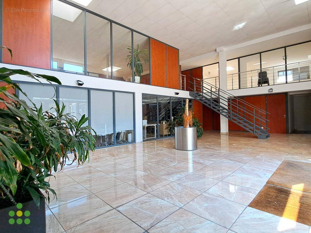 Commerce à MONTPELLIER