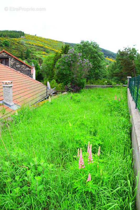 Maison à SAINT-CIRGUES-EN-MONTAGNE