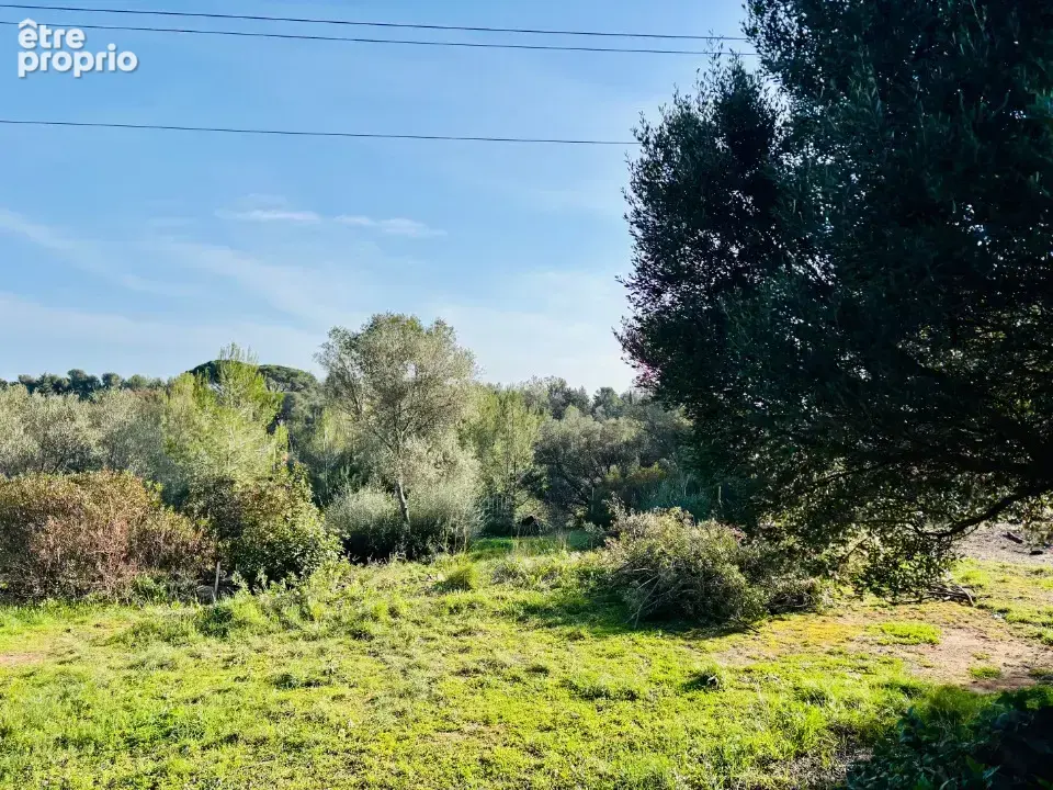 Terrain 500 m² à Ollioules  - photo 4