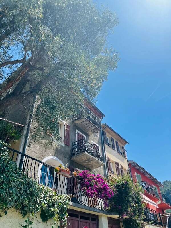 Maison à SAINT-MARTIN-DU-VAR