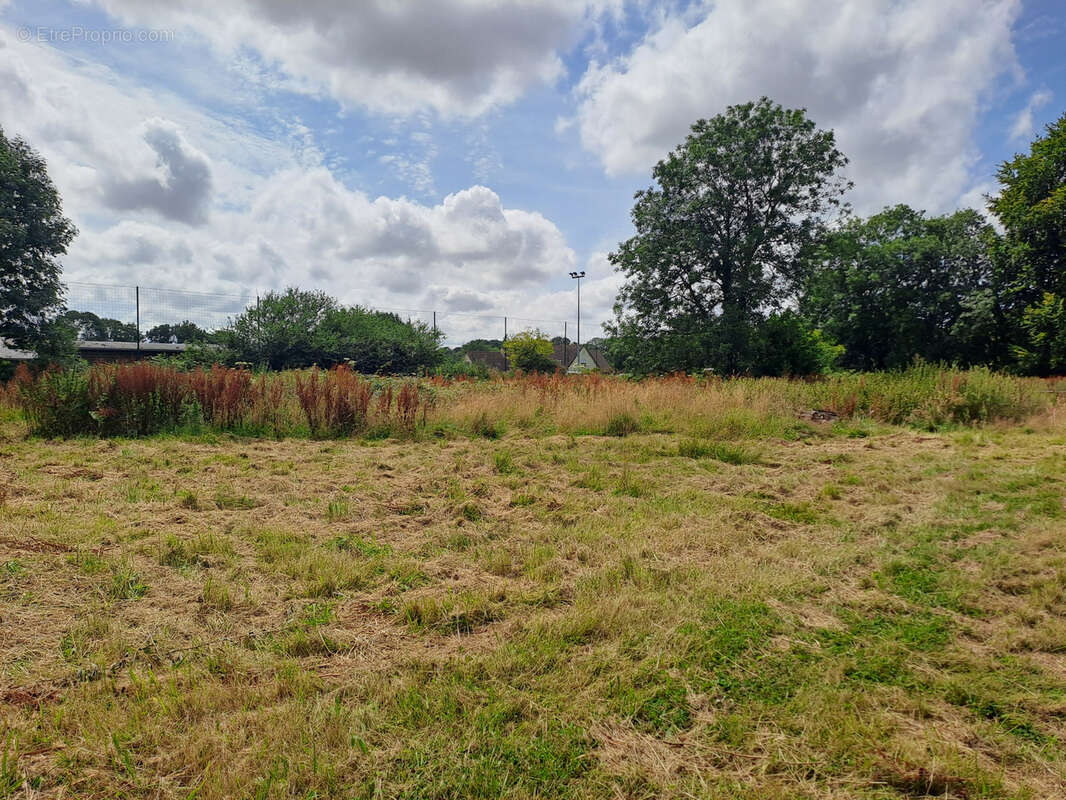 Terrain à ANGIENS
