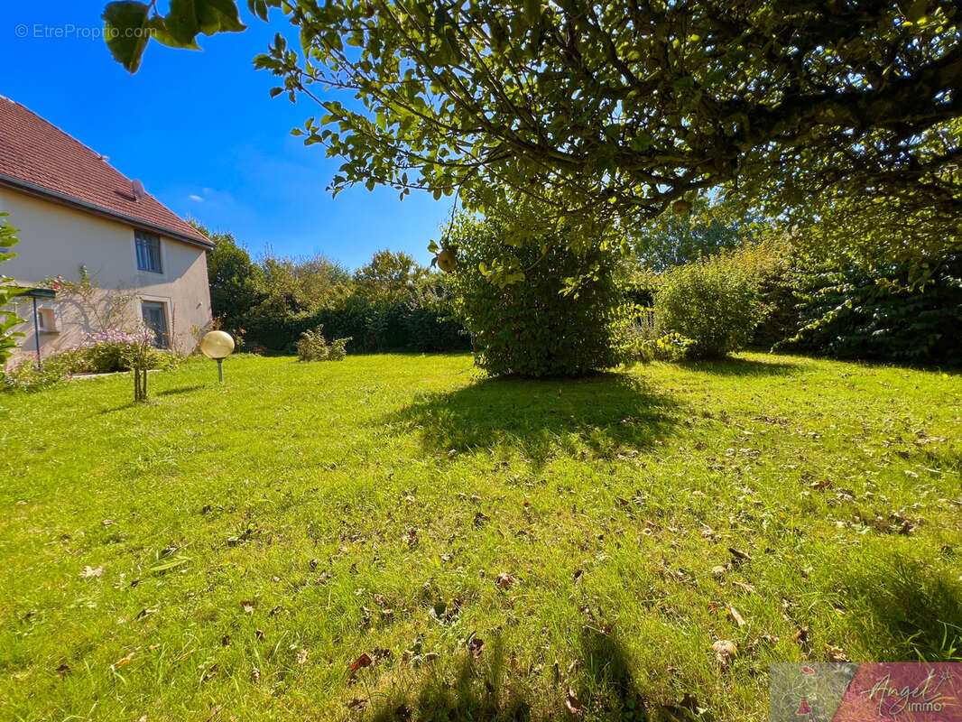 Maison à MERCEY-LE-GRAND