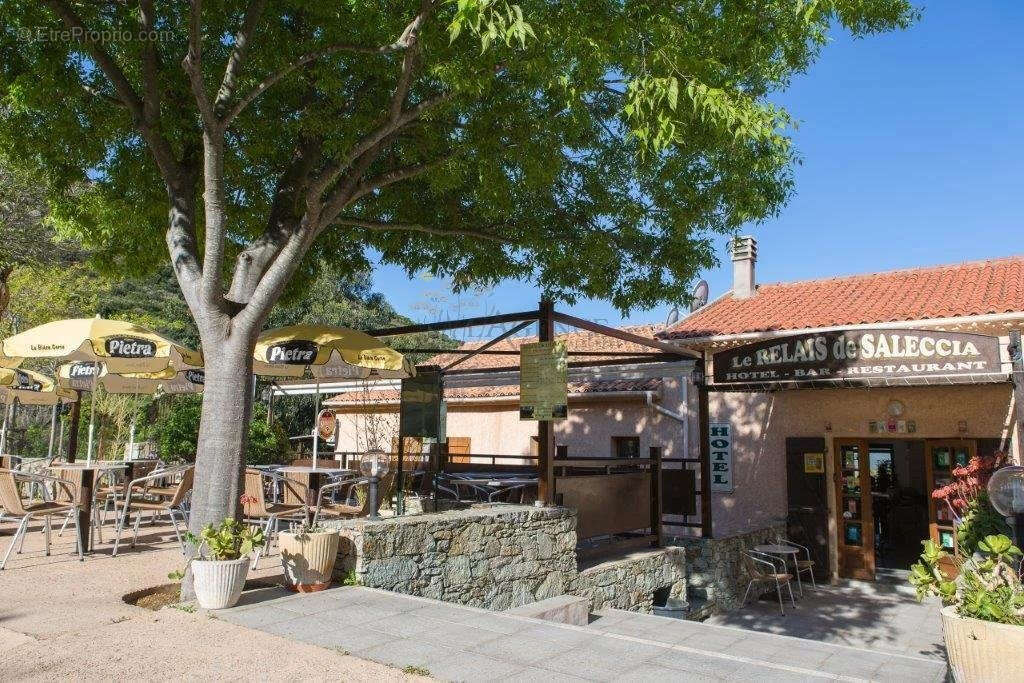 Commerce à SANTO-PIETRO-DI-TENDA