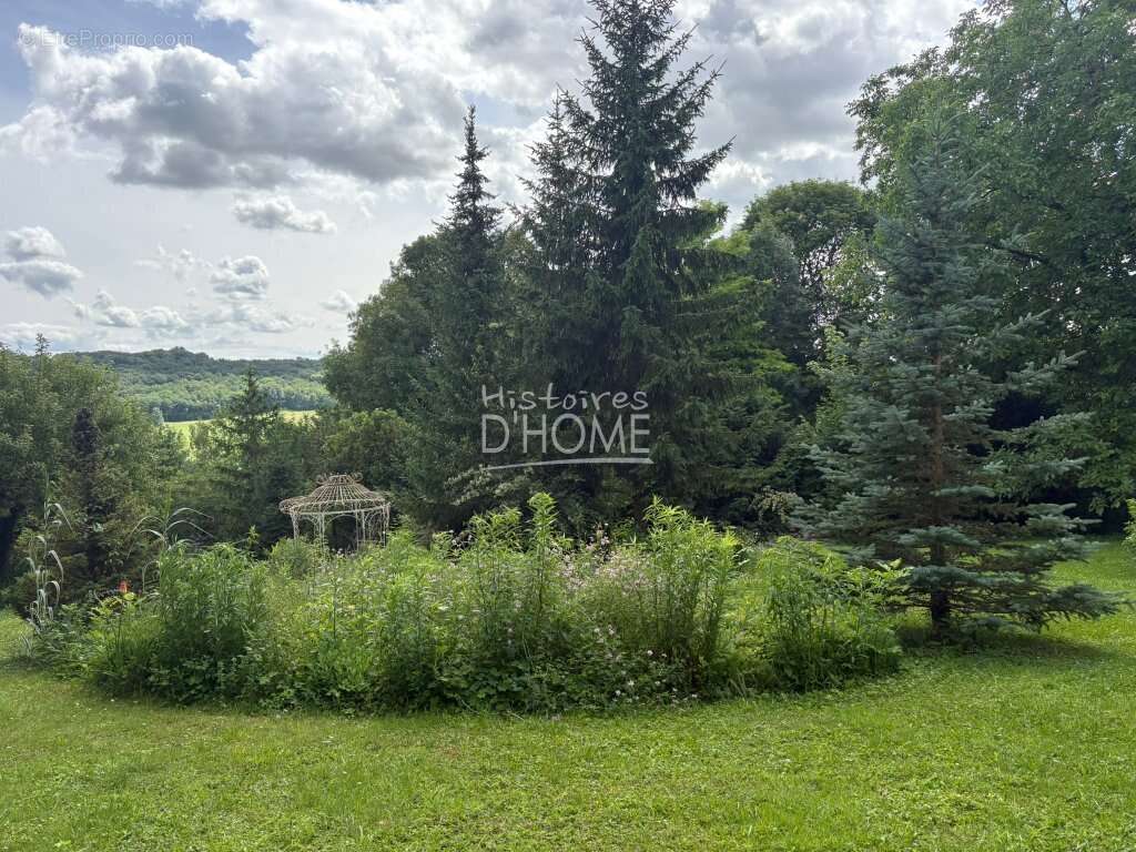Terrain à VILLENEUVE-SUR-BELLOT