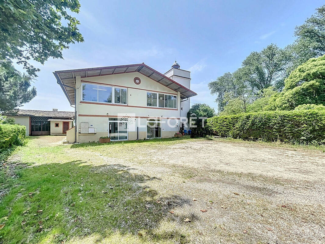 Appartement à CASTELSARRASIN