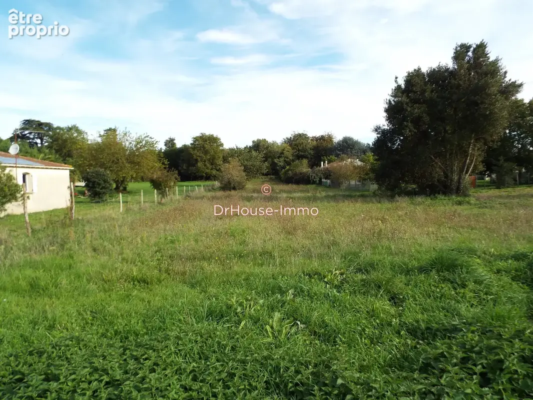 Terrain 2 104 m² à vendre à Bois (17240) - photo 14